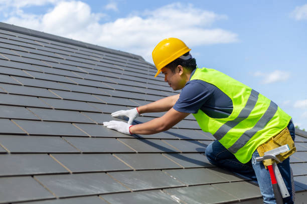 Gutter Installation and Roofing in Mount Olive, MS