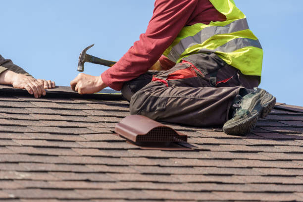 Best Best Roofing Contractors  in Mount Olive, MS