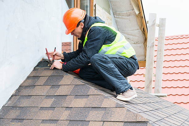 Best Roof Gutter Cleaning  in Mount Olive, MS