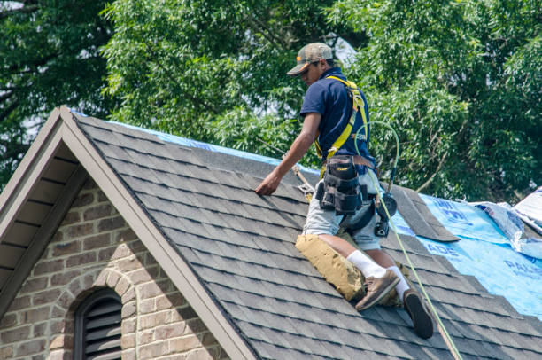 Roof Waterproofing Services in Mount Olive, MS
